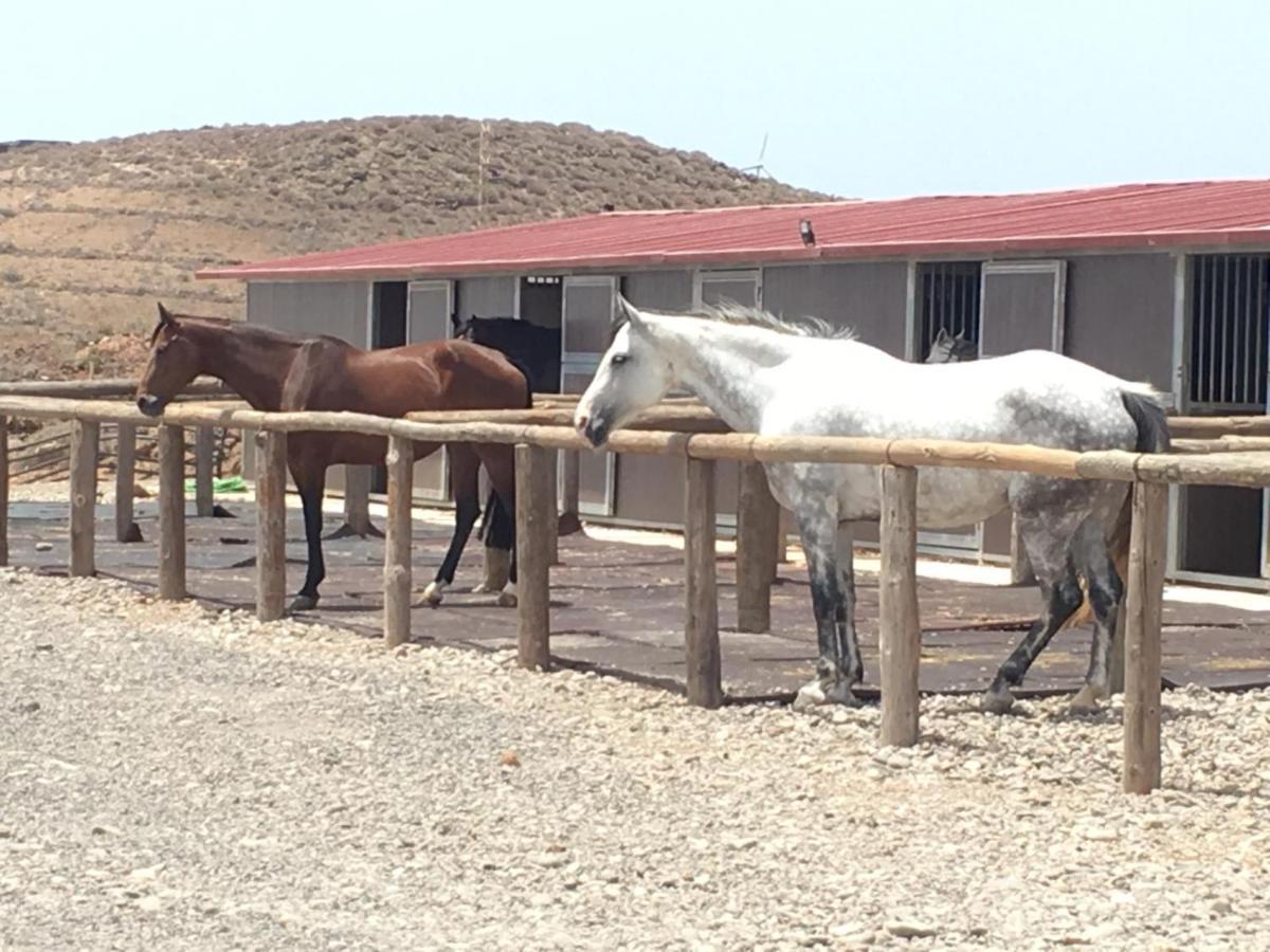 شقة Bed&Ride La Manigua Ojos de Garza المظهر الخارجي الصورة