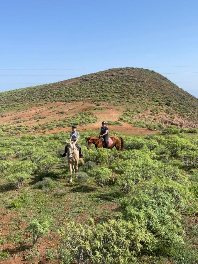 شقة Bed&Ride La Manigua Ojos de Garza المظهر الخارجي الصورة